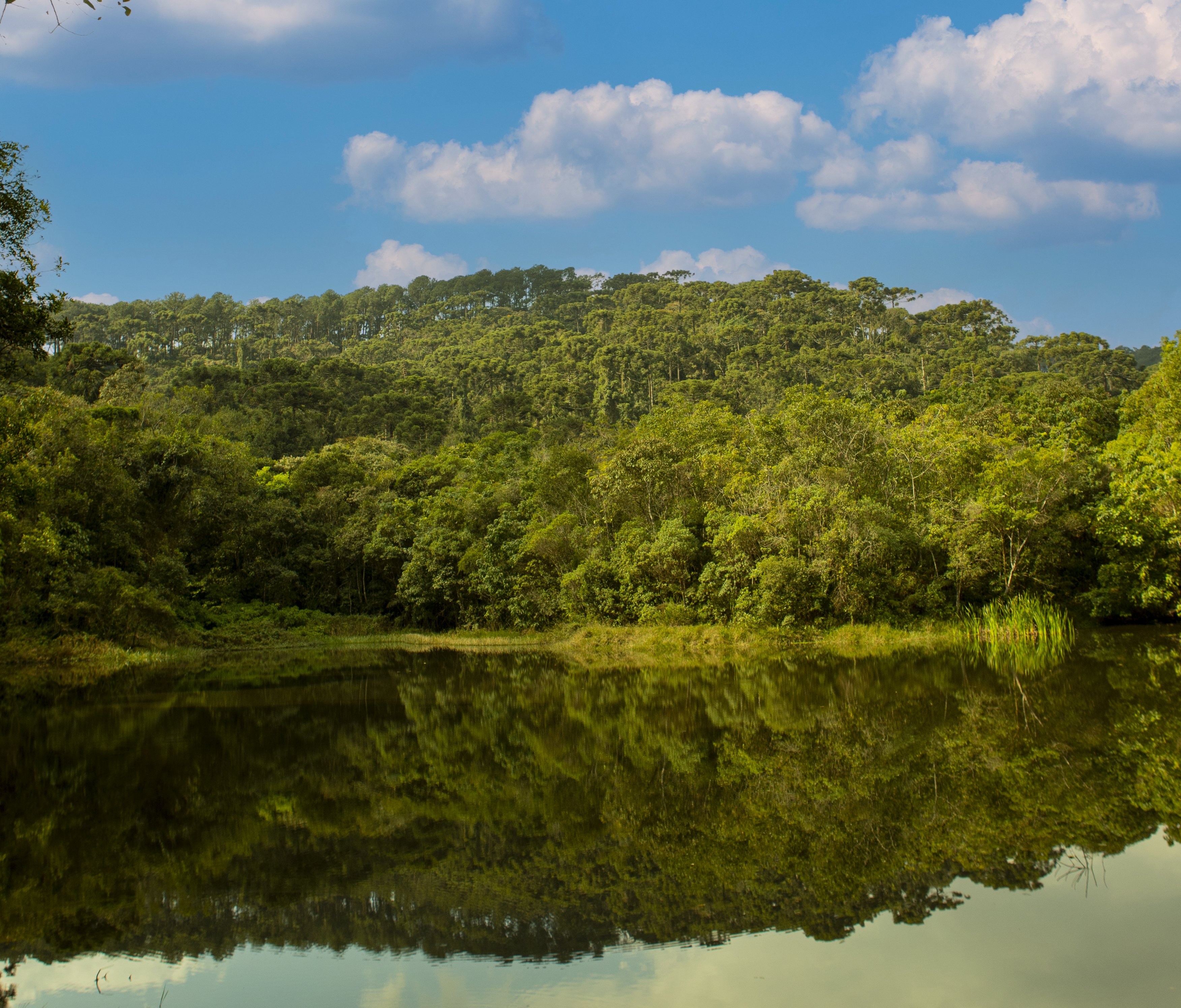 Em comemoração ao Dia Mundial da Água, Urbia oferece visita guiada e gratuita na Cantareira